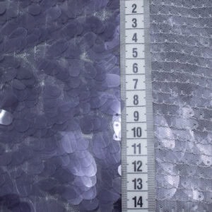 bdt09 0936 1 1.jpg