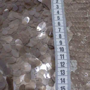 bdt09 0944 1 1.jpg